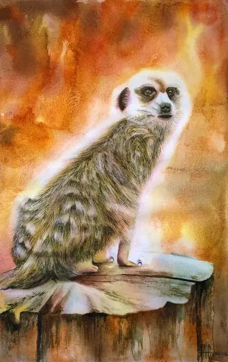 Enjoying The Sunshine