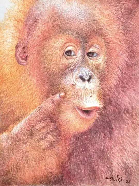 Melihat Dengan Kenyataan