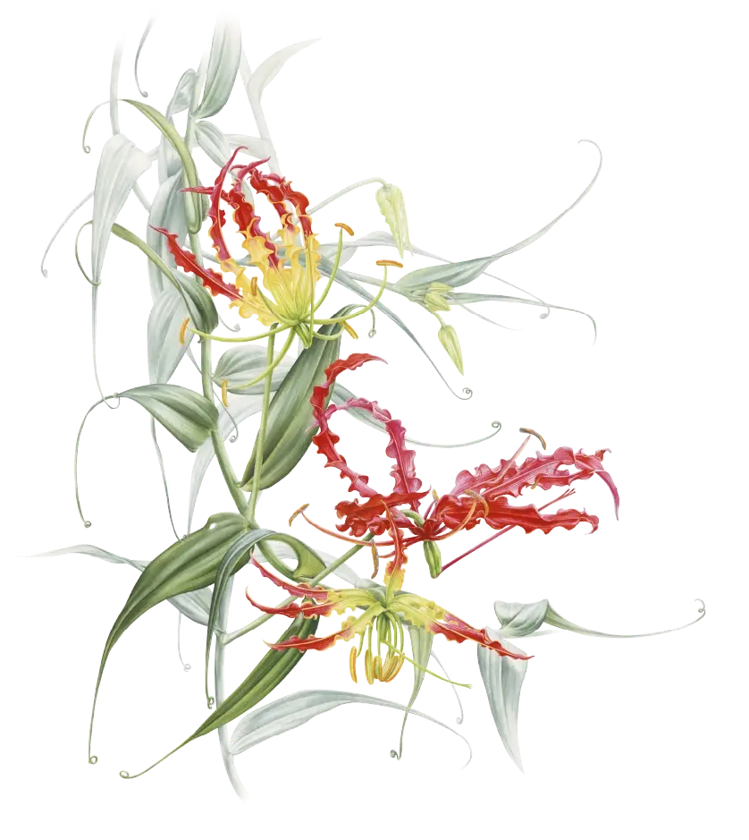 Botanical background asset 2