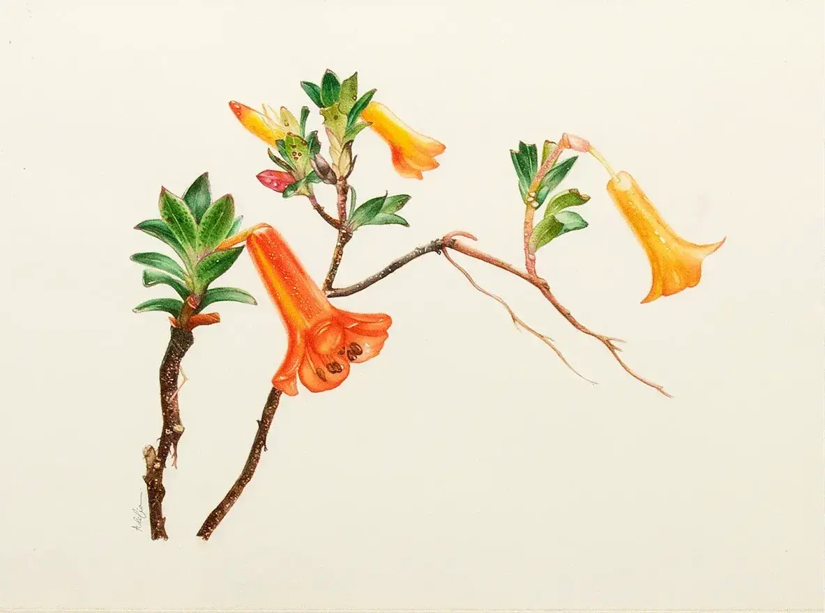 Adelia Surya Kusumawardhani