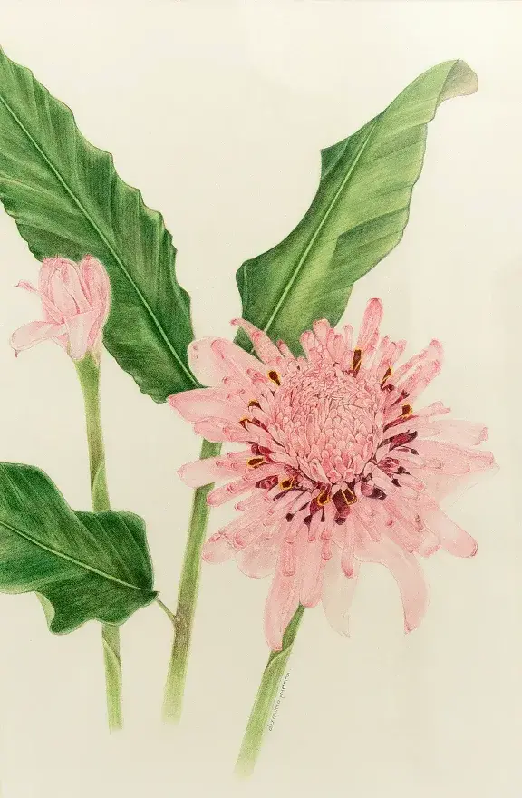 Alexandria L. Prietama