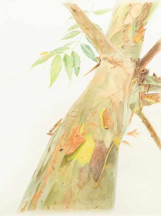 Hervina Dyah Aprilia