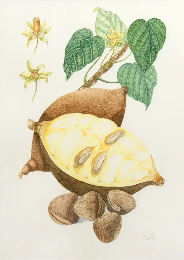 Sri Wulandari Rahayu