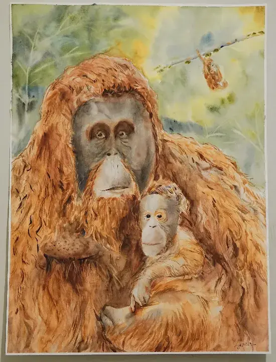 The Borneo Orang Utan Family