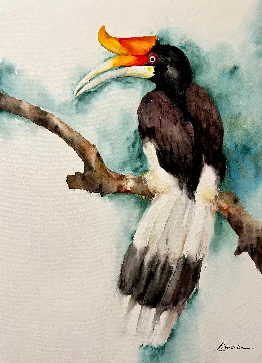 Burung Enggang