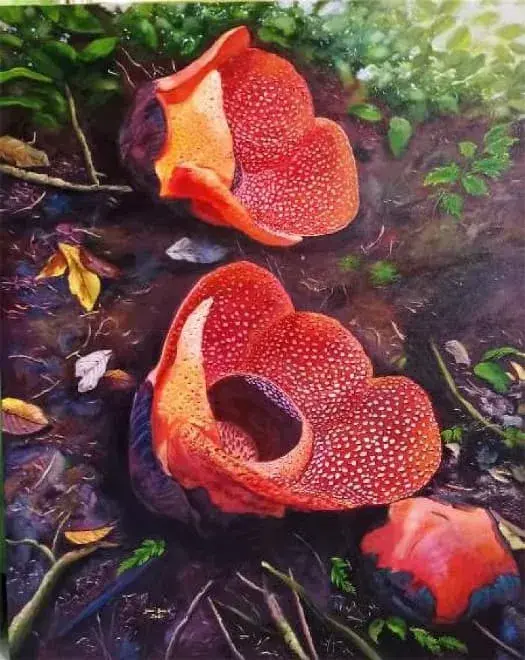 Setitik Swarga di Belantara